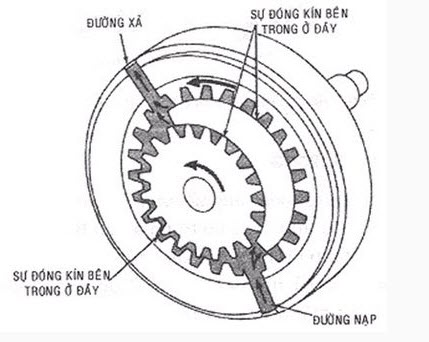 kết cấu bơm bánh răng kết cấu bơm bánh răng